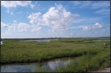 Continuing Legal Education - Texas Wetlands Conference