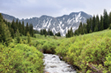 Continuing Legal Education - Colorado Water Law